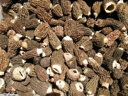 Stuffed Morels with Crab – Mycoboutique