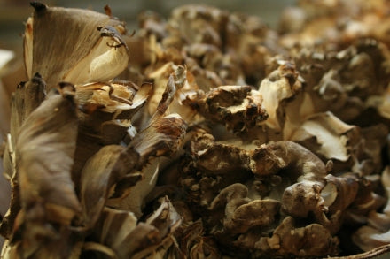 Maitake Tagliatelli – Mycoboutique
