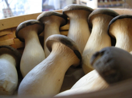 Thai curry with coconut milk and king oyster mushrooms – Mycoboutique