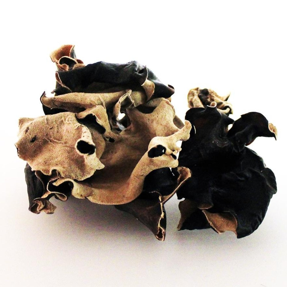 Dried Wood Ear Mycoboutique