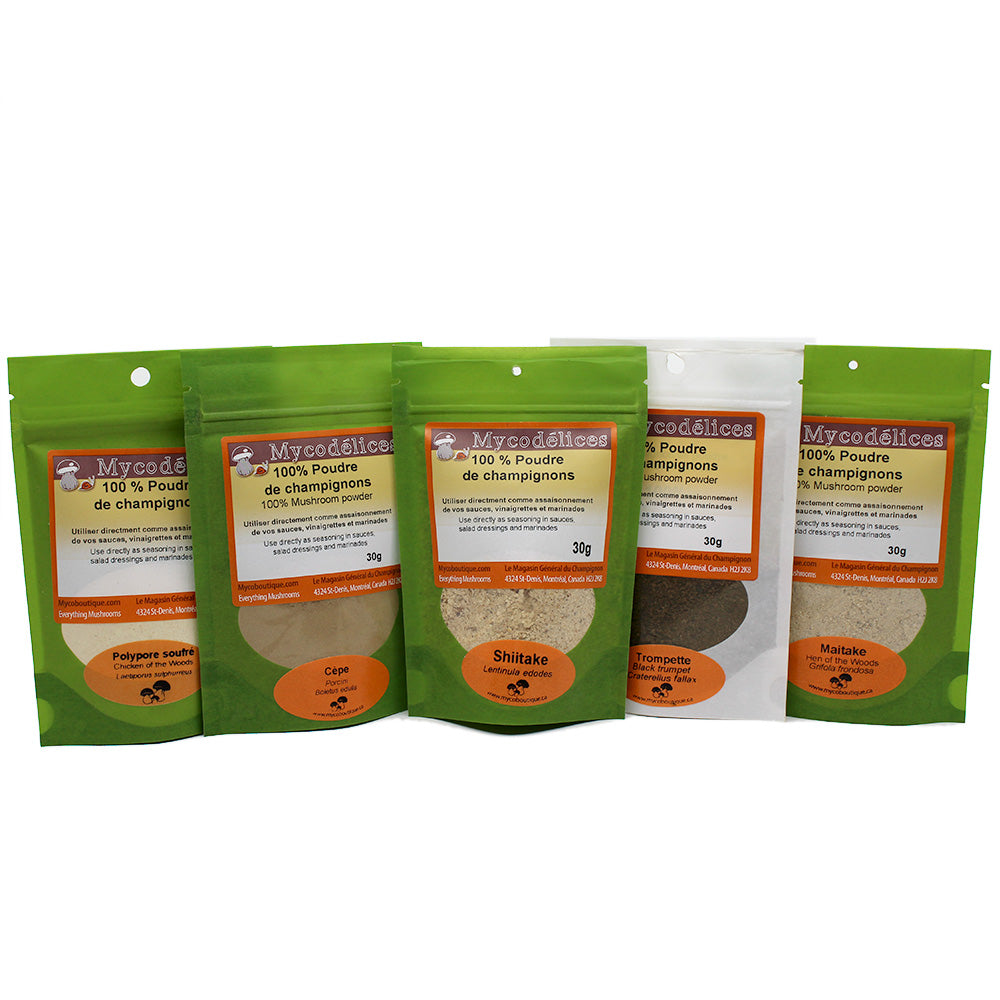 100 Pure Chanterelle Powder Mycoboutique