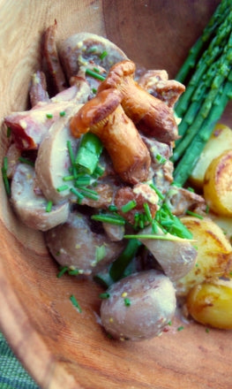 Veal kidney in mustard and chanterelle sauce
