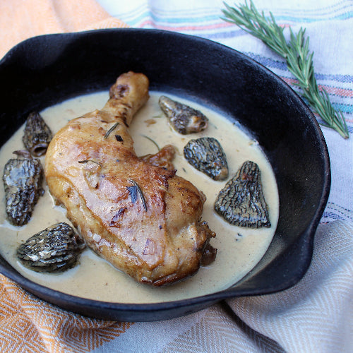 Creamy Morel Chicken – A Rich and Flavorful Recipe
