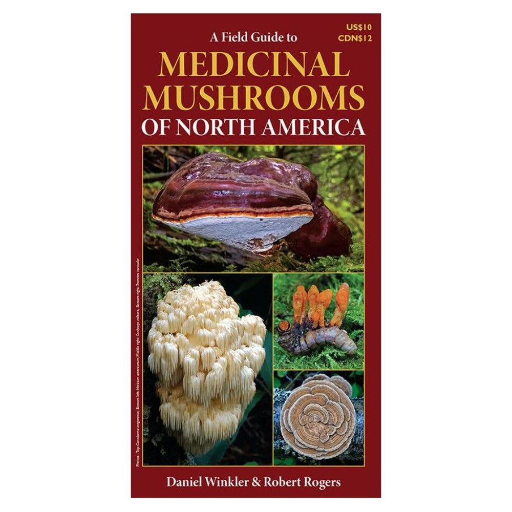 Medicinal Mushrooms of North America Field Guide