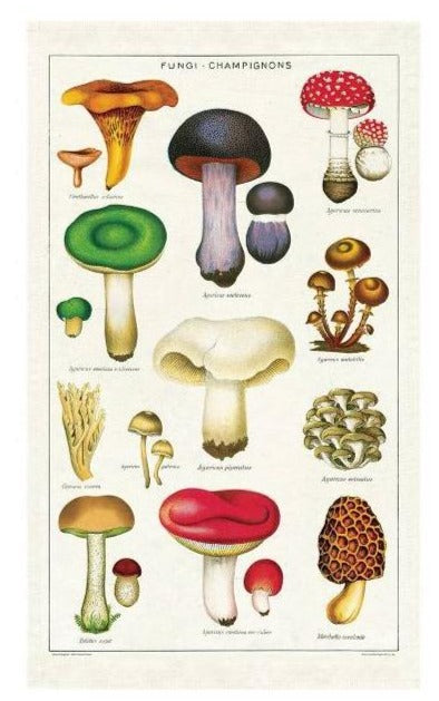 Vintage Mushroom Tea Towel