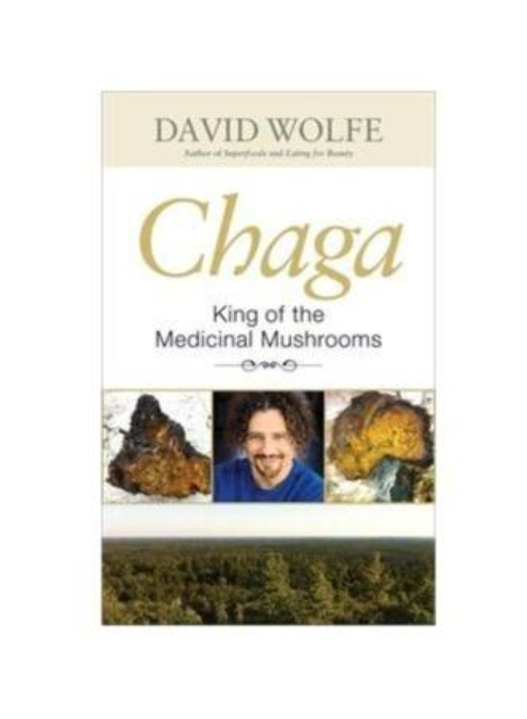 Chaga: King of the Medicinal Mushrooms