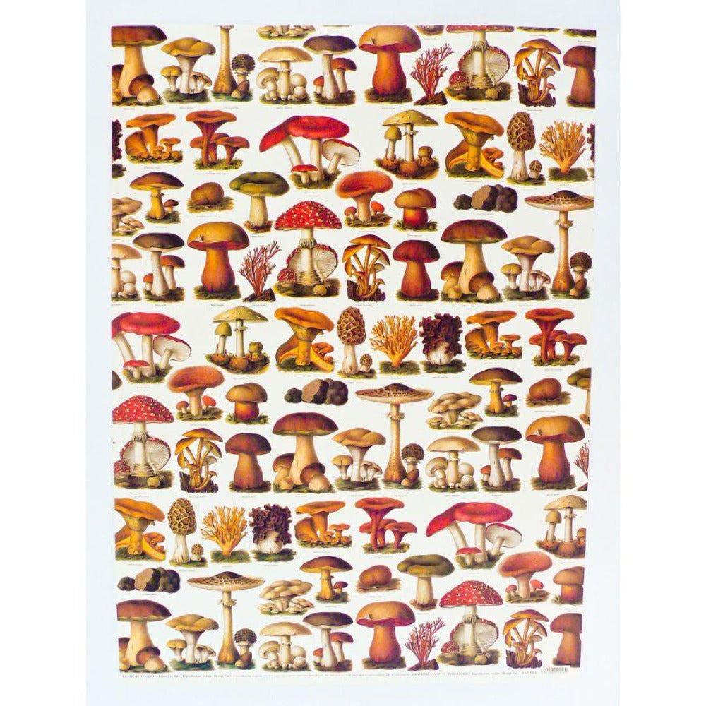 Mushroom Themed Wrapping Paper